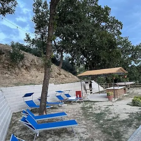 La Valle Degli Ulivi *