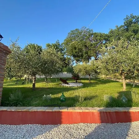 La Valle Degli Ulivi Holiday home *