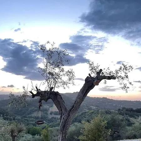 La Valle Degli Ulivi Holiday home Saludecio