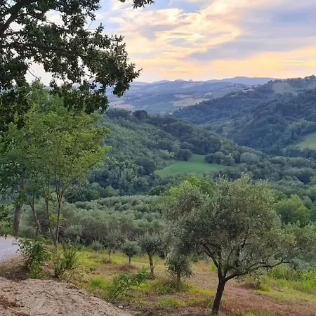 La Valle Degli Ulivi Holiday home *